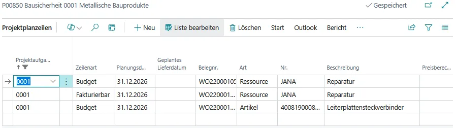 Abbildung: Projektplanzeilen
