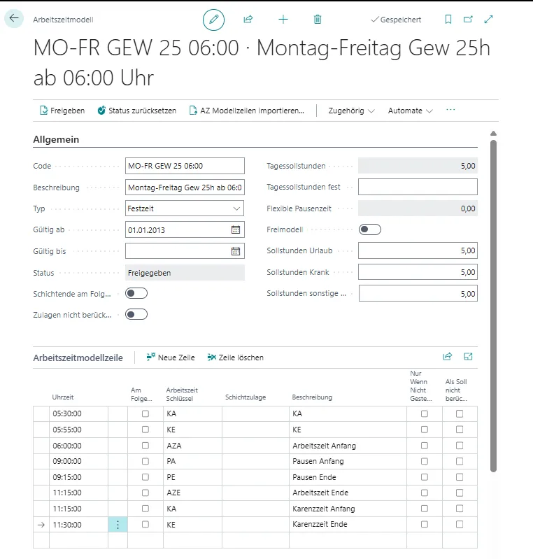 Arbeitszeitmodell, Optionen Allgemein Ansicht