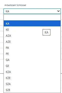 Arbeitszeitschlüssel Ansicht