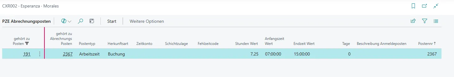 PZE Abrechnungsposten Ansicht