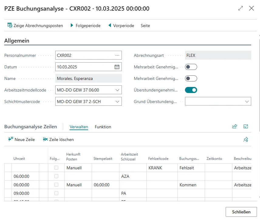 PZE-Buchungsanalyse Ansicht