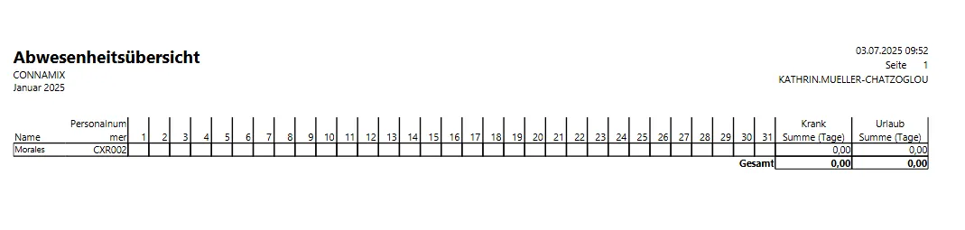 PZE Abwesenheitsübersicht Ansicht